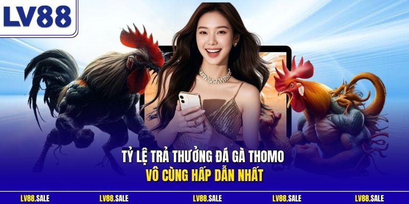 Tỷ lệ trả thưởng đá gà Thomo vô cùng hấp dẫn nhất